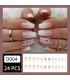 NA092 -  Autumn Lotus Root Nails